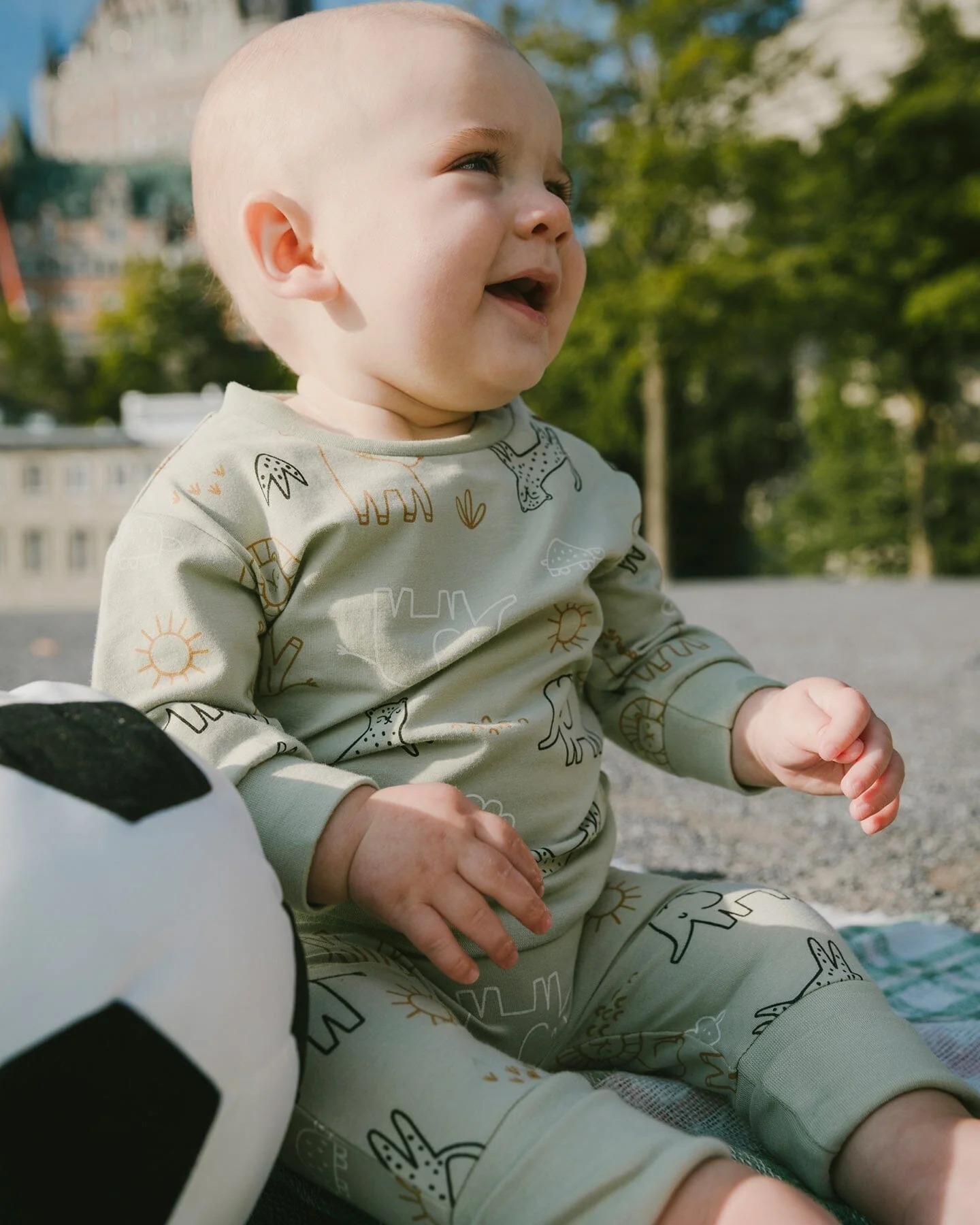 Organic Cotton Jersey Sweater And Pants Set Sage Green Animal Print - Image 2