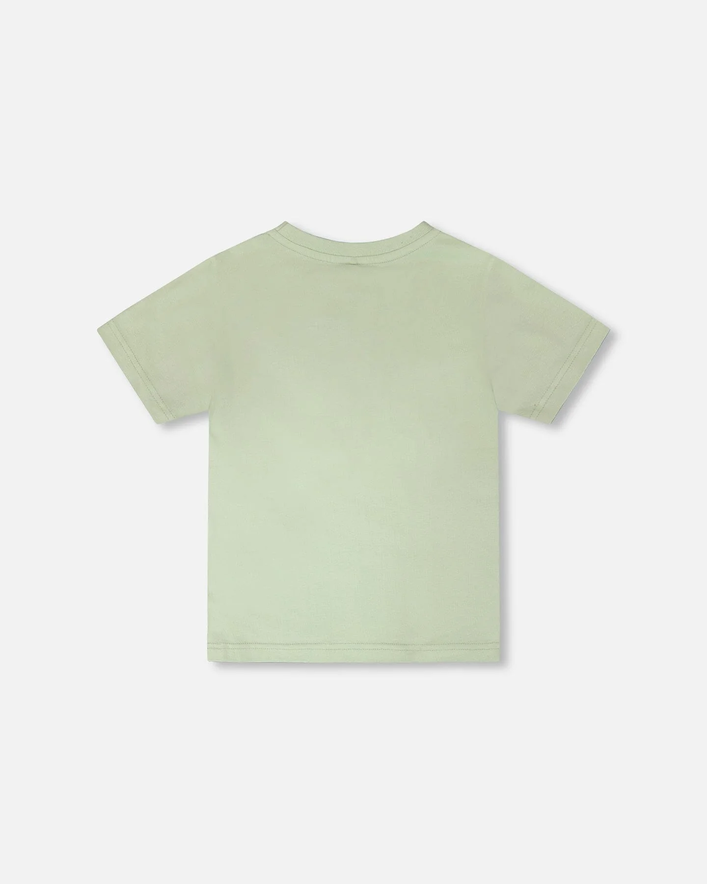 Organic Cotton Jersey T-Shirt With Mountain Print Sage - Image 4