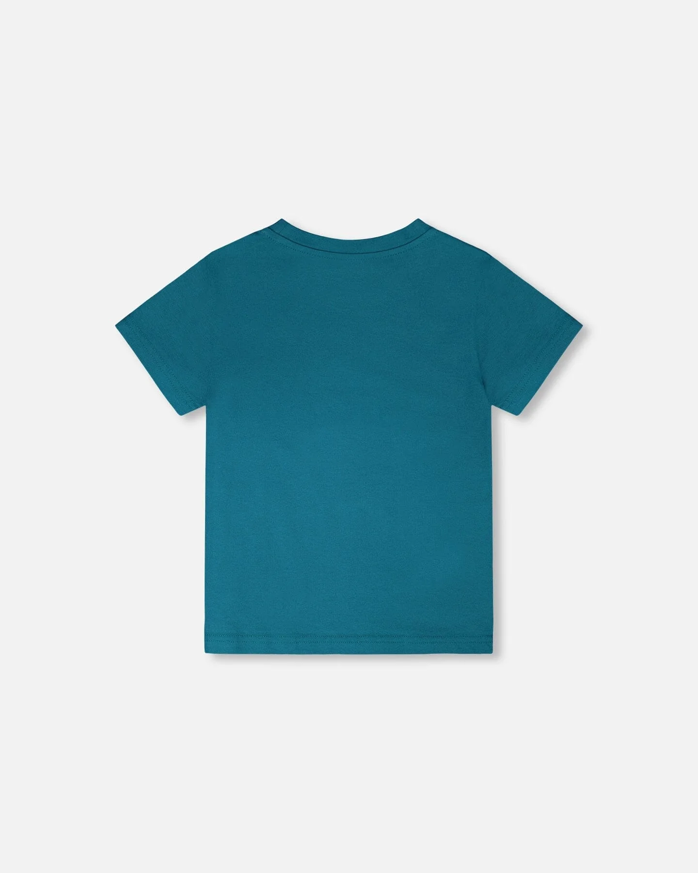 Organic Cotton Jersey T-Shirt With Print Atlantic Green - Image 3