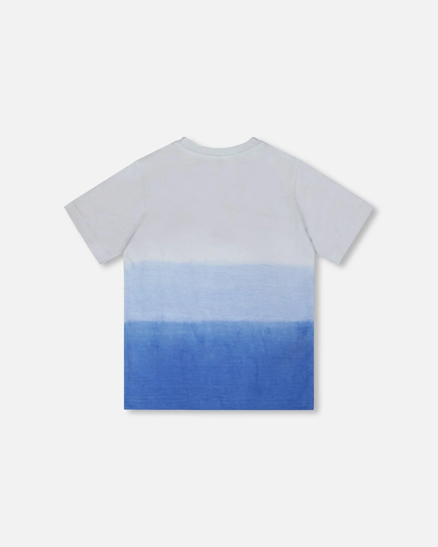 Organic Cotton Jersey T-Shirt With Print Gradient Pale Blue - Image 3