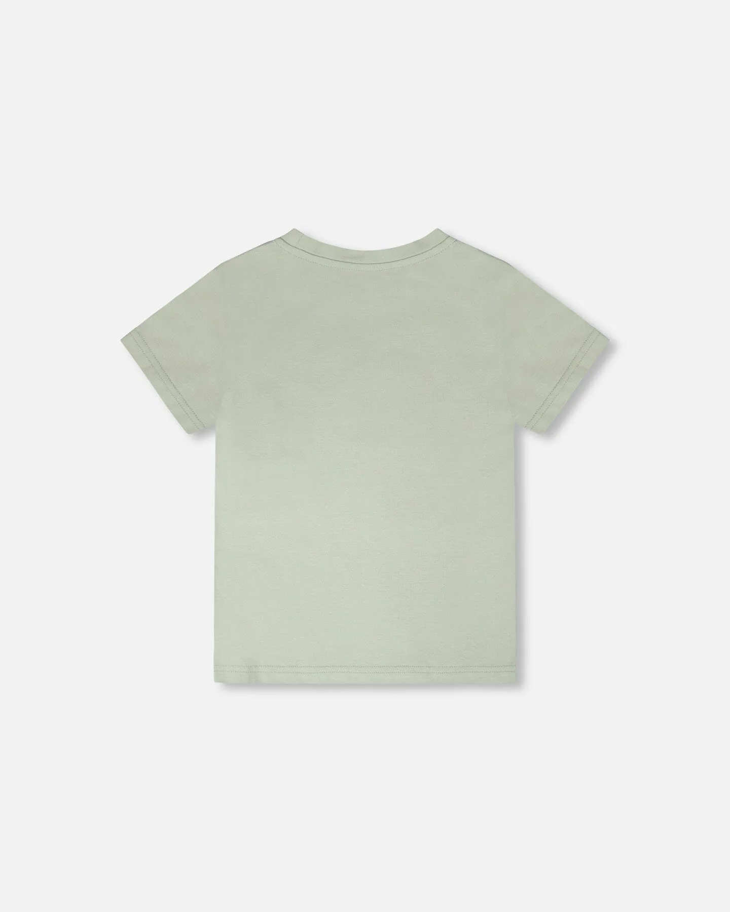 Organic Cotton Jersey T-Shirt With Print Sage - Image 4